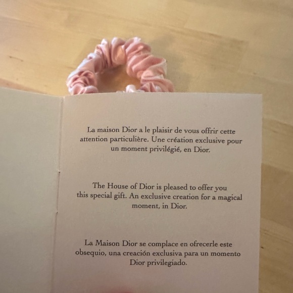 Christian Dior Beaute Pink Scrunchie - Picture 4 of 4